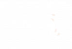 rohlik